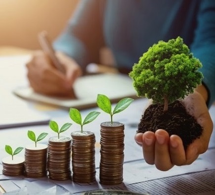 Великоберезовицька селищна рада проводить конкурс цінових пропозицій з виготовлення експертно – грошової оцінки на земельну ділянку